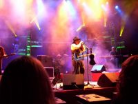 Lyle Baldwin playing harp